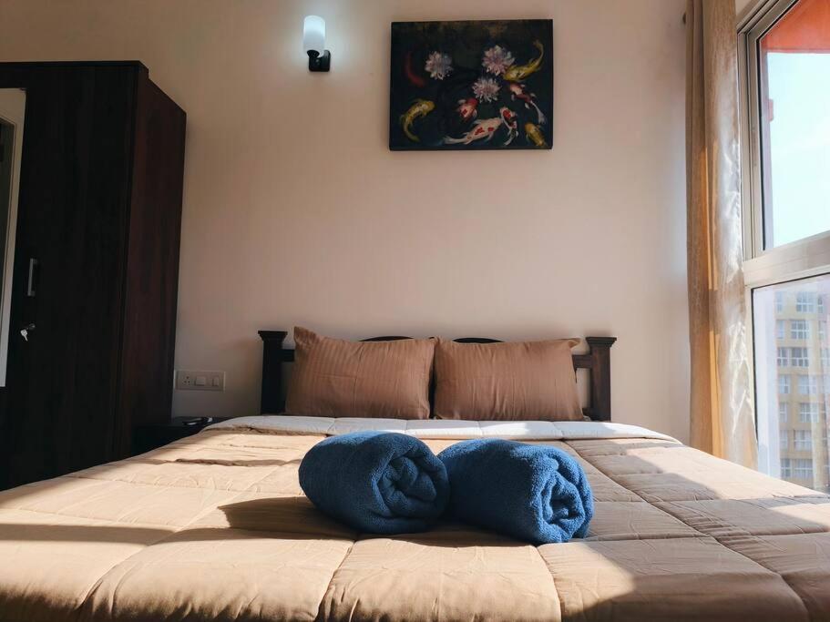 Good 2 Bhk With Pool View 6km From Airport, -805